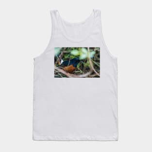 white-rumped shama Tank Top